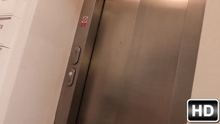 ������� � ������������ ��������� ������������ �� �����